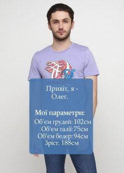 Футболка мужская Tom Tailor 161015-catalog